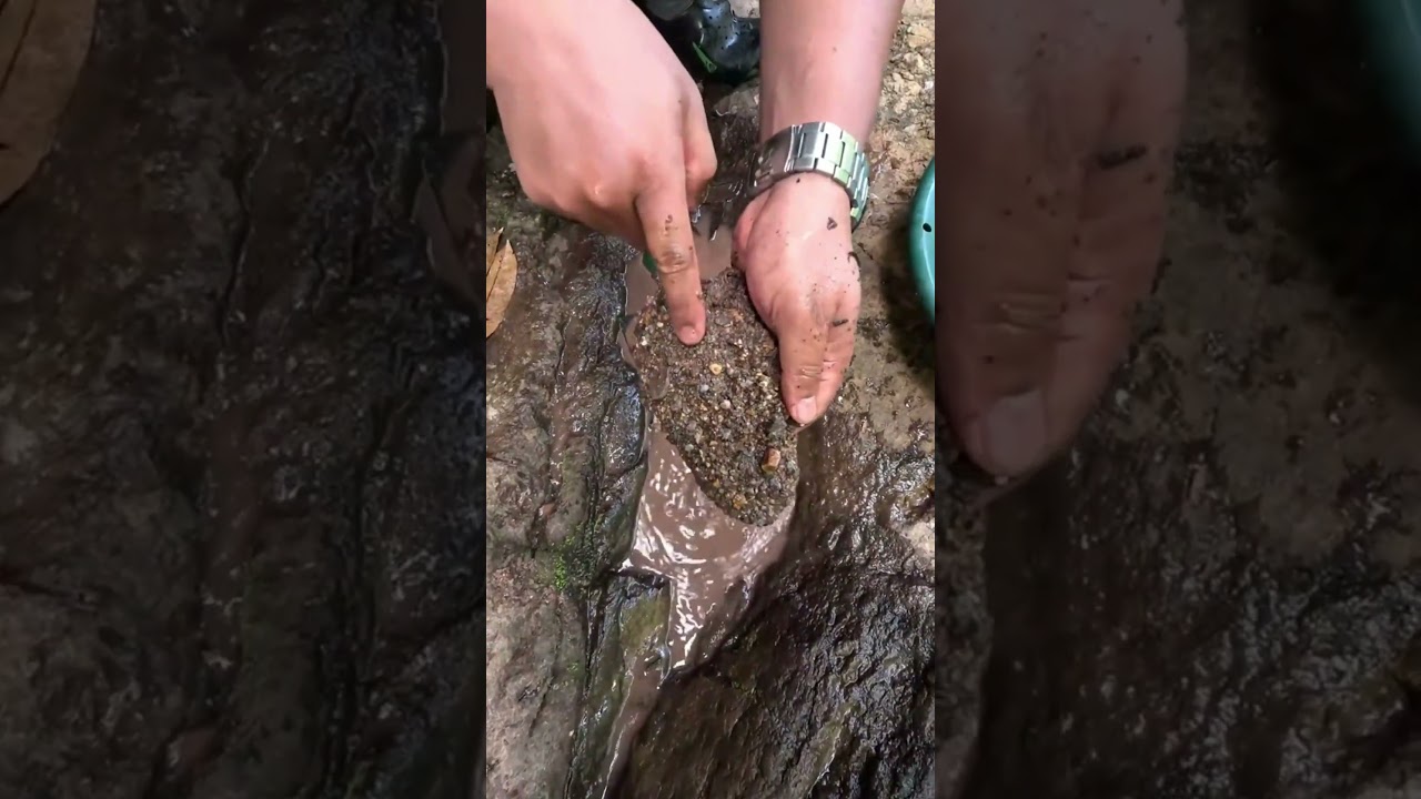 ⛏️Secret Nature Trick Reveals Real GOLD 🔥 You&rsquo;ve Never Seen This Before
