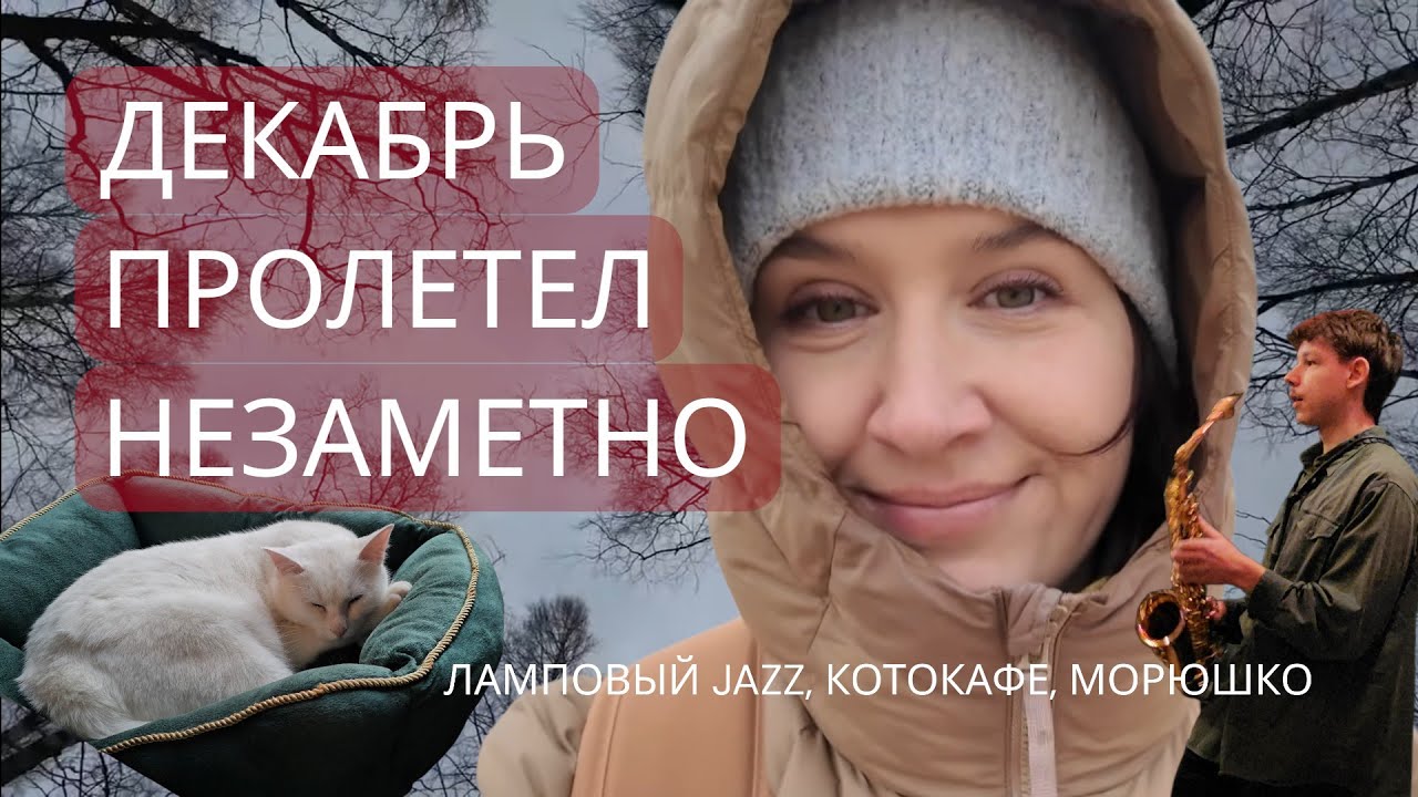 Каникулы в декабре, кошачье кафе, сходили на джаз, море зимой. Рига Латвия | Rīga, Latvija 