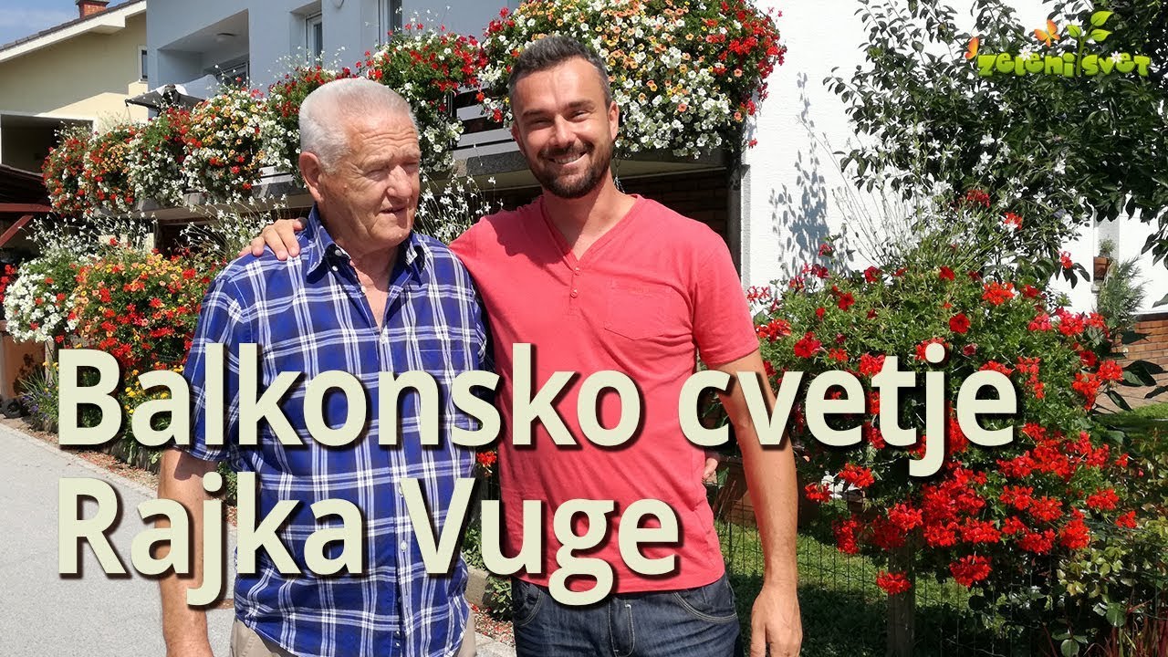 Balkonsko cvetje Rajka Vuge