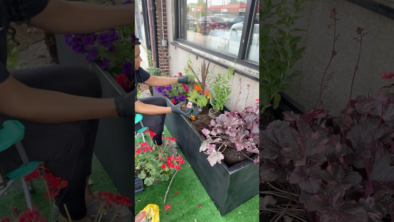 Gardening is very therapeutic! #garden #plants #flowers #planter