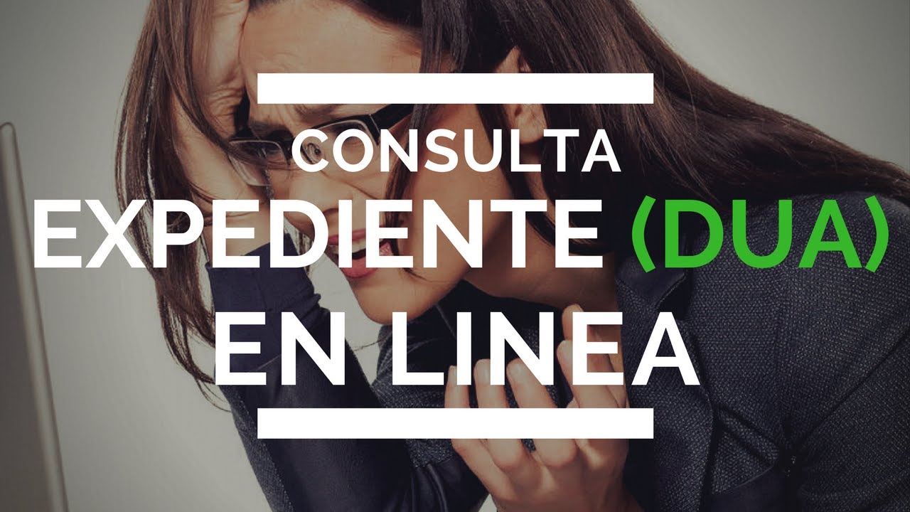 Como consultar expediente DUA por Internet