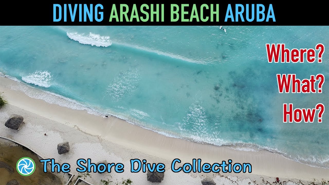 Diving Arashi Beach, Aruba | The Shore Dive Collection | TropicLens