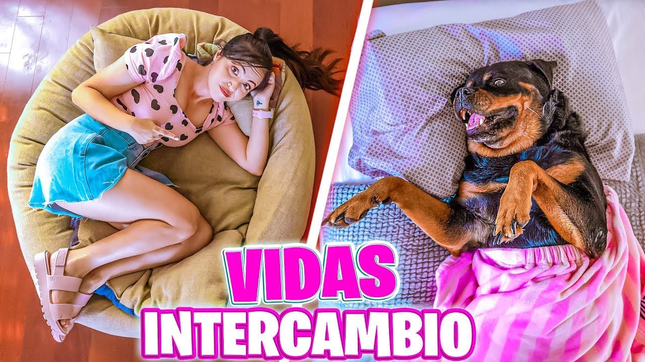 INTERCAMBIO VIDA CON MI PERRO POR 1 DIA 😱 CAMBIO DE VIDAS por 24 HORAS 🔥 Sandra Cires Art