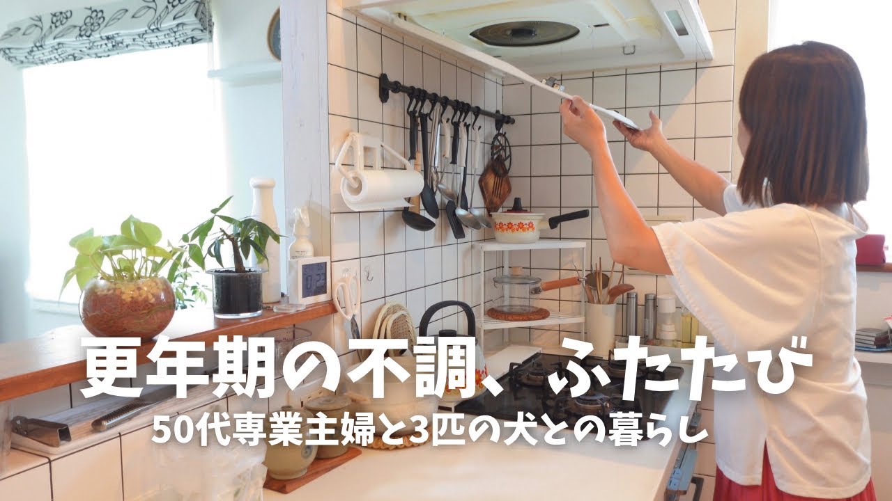 50代主婦と3匹の犬との暮らし / 更年期の不調 / 3品おかず弁当 / 主婦の朝昼ごはん / 犬のいる暮らし / トイプードル / ビションフリーゼ