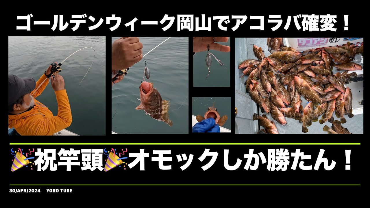 オモック最強！GW岡山のアコラバで確変！