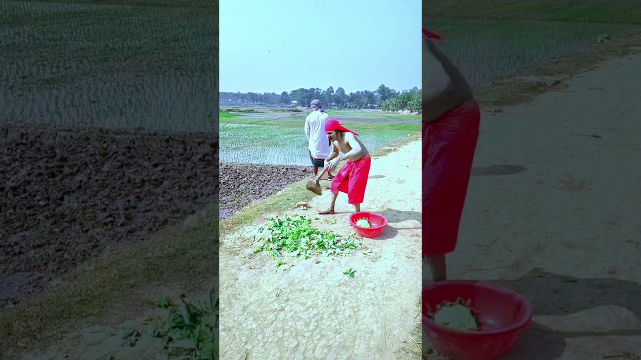 #Top Funny video #viral #funnyvideos 