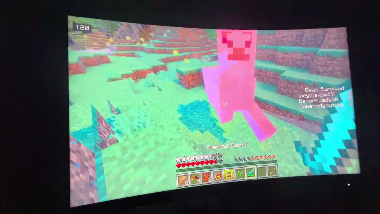 I speedran Minecraft 