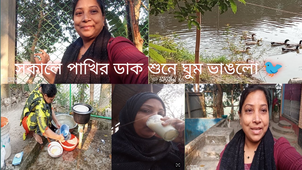 সকালে পাখির ডাক শুনে ঘুম ভাঙলো চলে আসলাম ঢাকায় 🛖