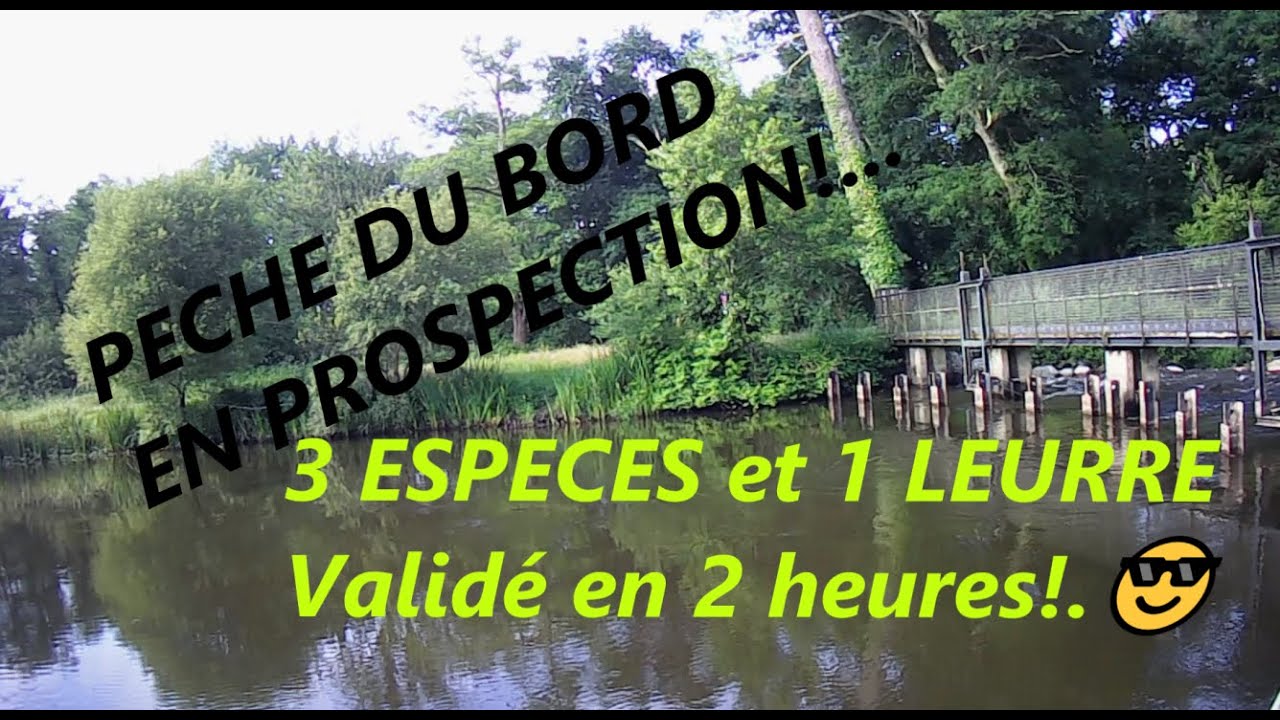 PECHE PROSPECTION DU BORD LAC LANDAIS (BROCHET, BLACK BASS, PERCHE)  Leurre pulse spintail  validé😉