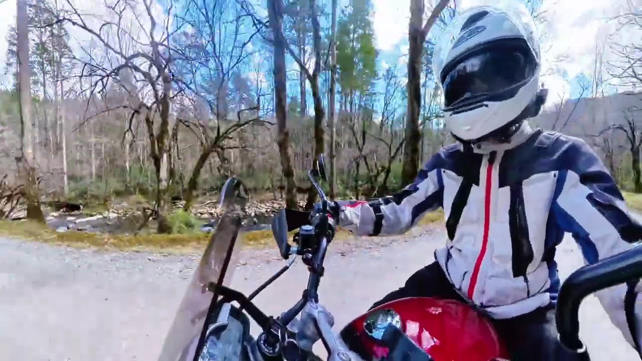 The Smokies Best Kept Secret? | Riding Upper Tremont Road & Middle Prong Little River