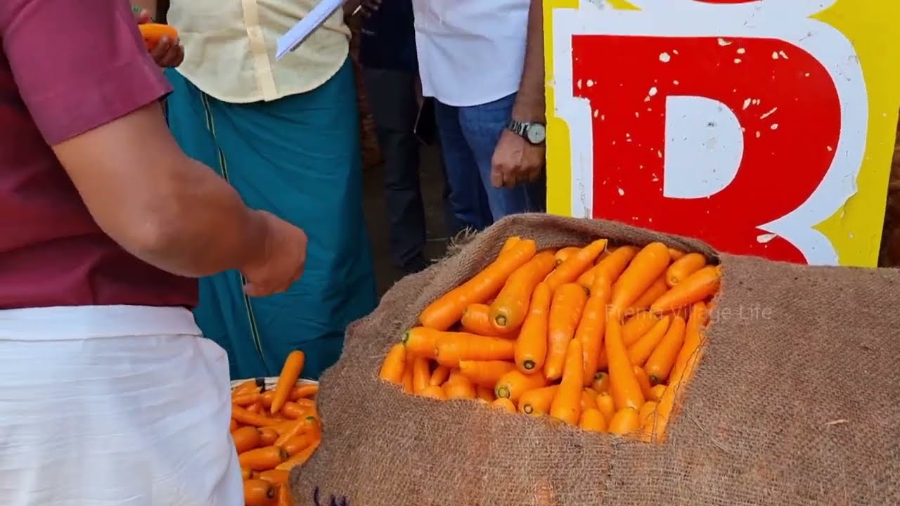 Carrot market in Mattupalayam Coimbatore Wholesale Vegetable Market