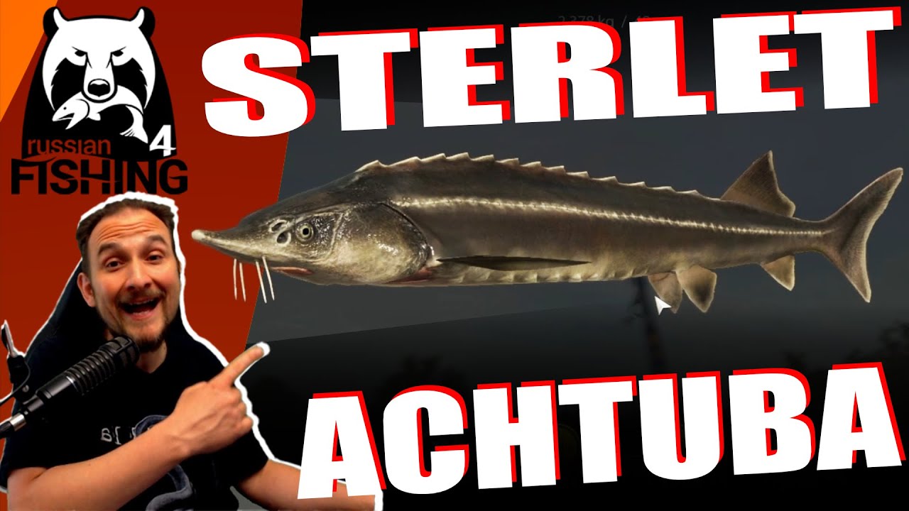 Russian Fishing 4 - Sterlet - Achtuba, Sterlet Spot, Grundangeln