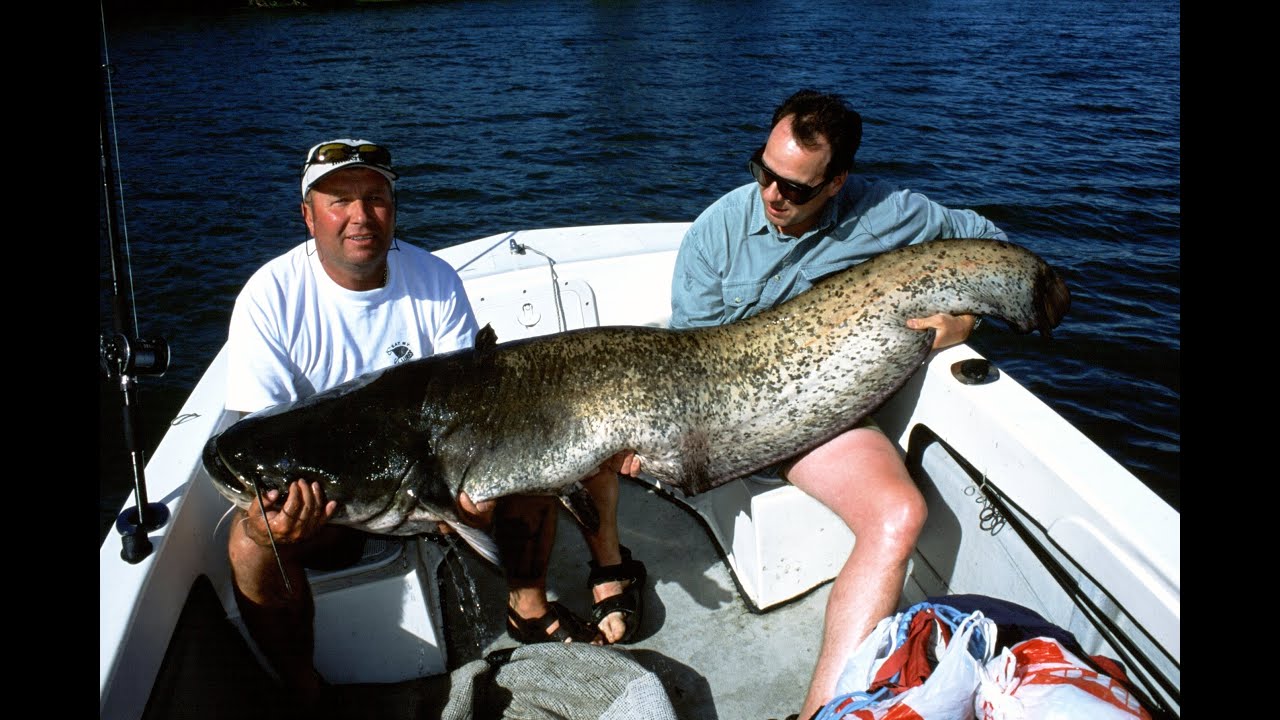2002 Ebro Catfishing