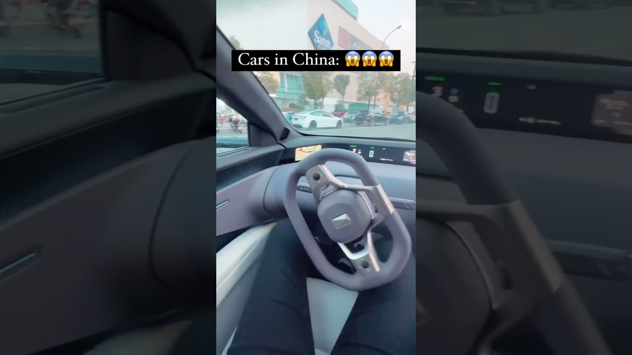 Tesla VS Chinese EV