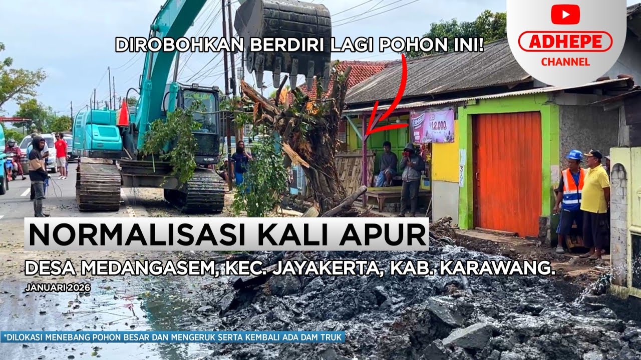 POHON INI SUSAH DIROBOHKAN? | NORMALISASI KALI APUR - KARAWANG 2026 