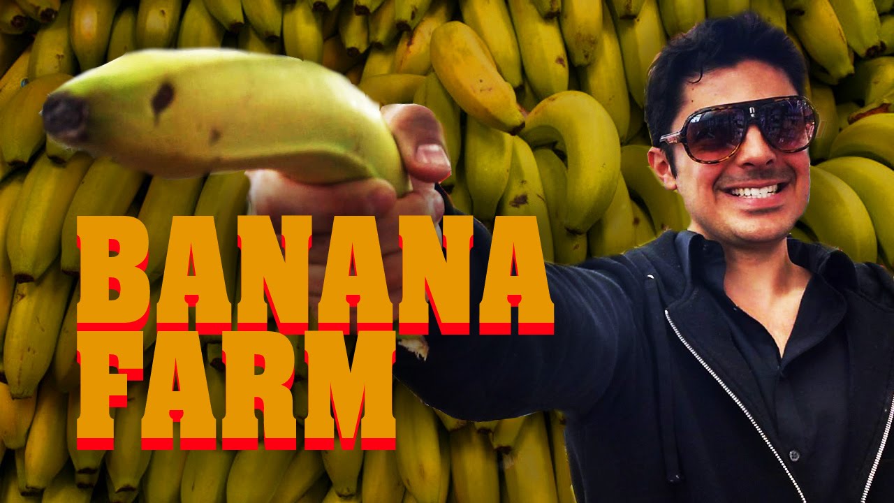 Where the Bananas Come From. (Tully, QLD, Australia)