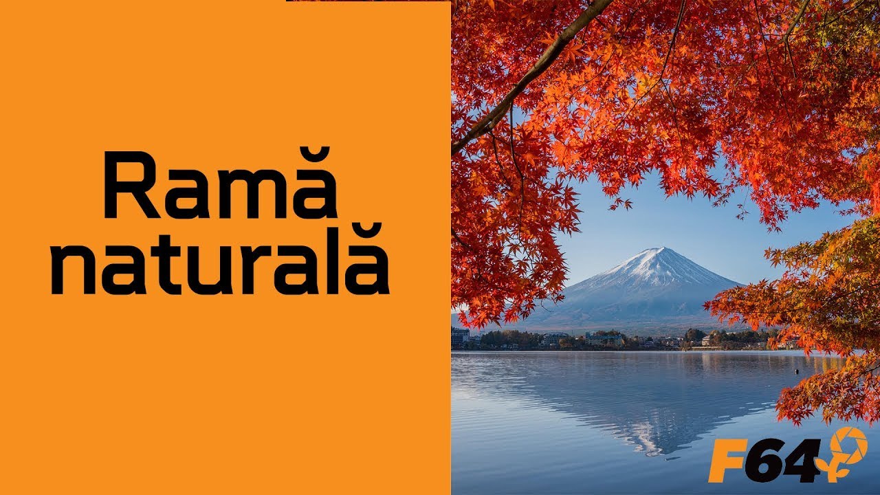 Lecția de compoziție - Rama naturală (ep.5)