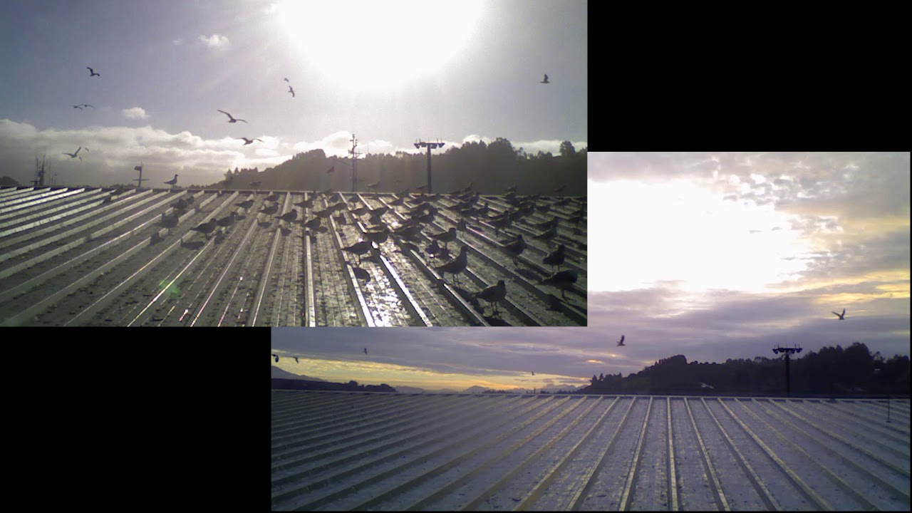 Before/After Agrilaser Autonomic's installation