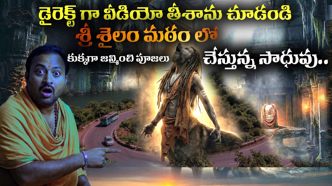 డైరెక్ట్ గా వీడియో తీశాను : శ్రీ శైలం మఠం లో కుక్కగా జన్మించి పూజలు చేస్తున్న సాధువు.. | Srisailam