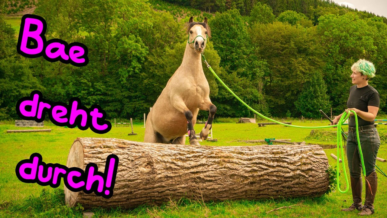 Was für eine Überraschung! 🦄 Bae dreht völlig durch!!!