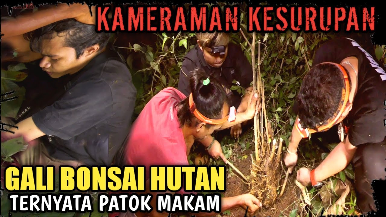 Nekat cabut bonsai patok Makam,Kameraman kesurupan..