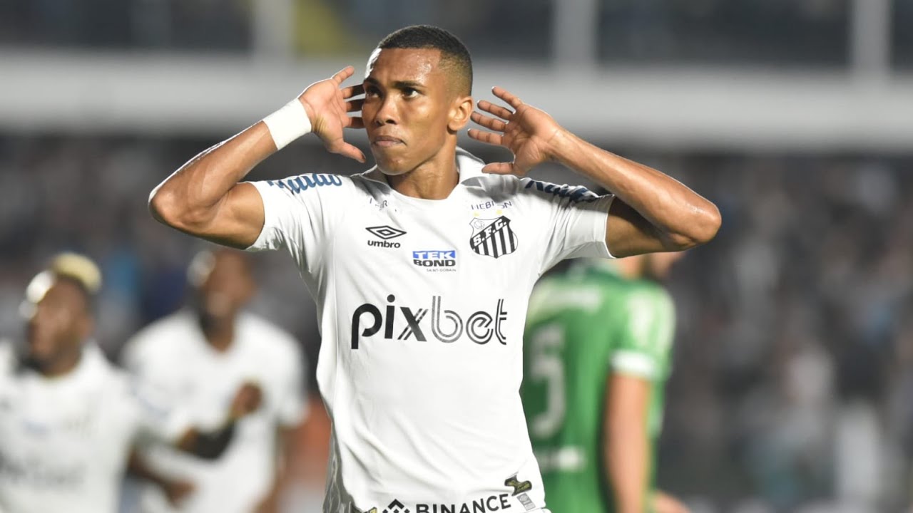 TODOS OS 14 GOLS DE MADSON PELO SANTOS