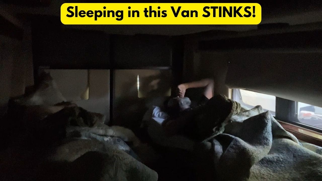Our First Class B Van Trip: A Wild Shakedown in Flagstaff!
