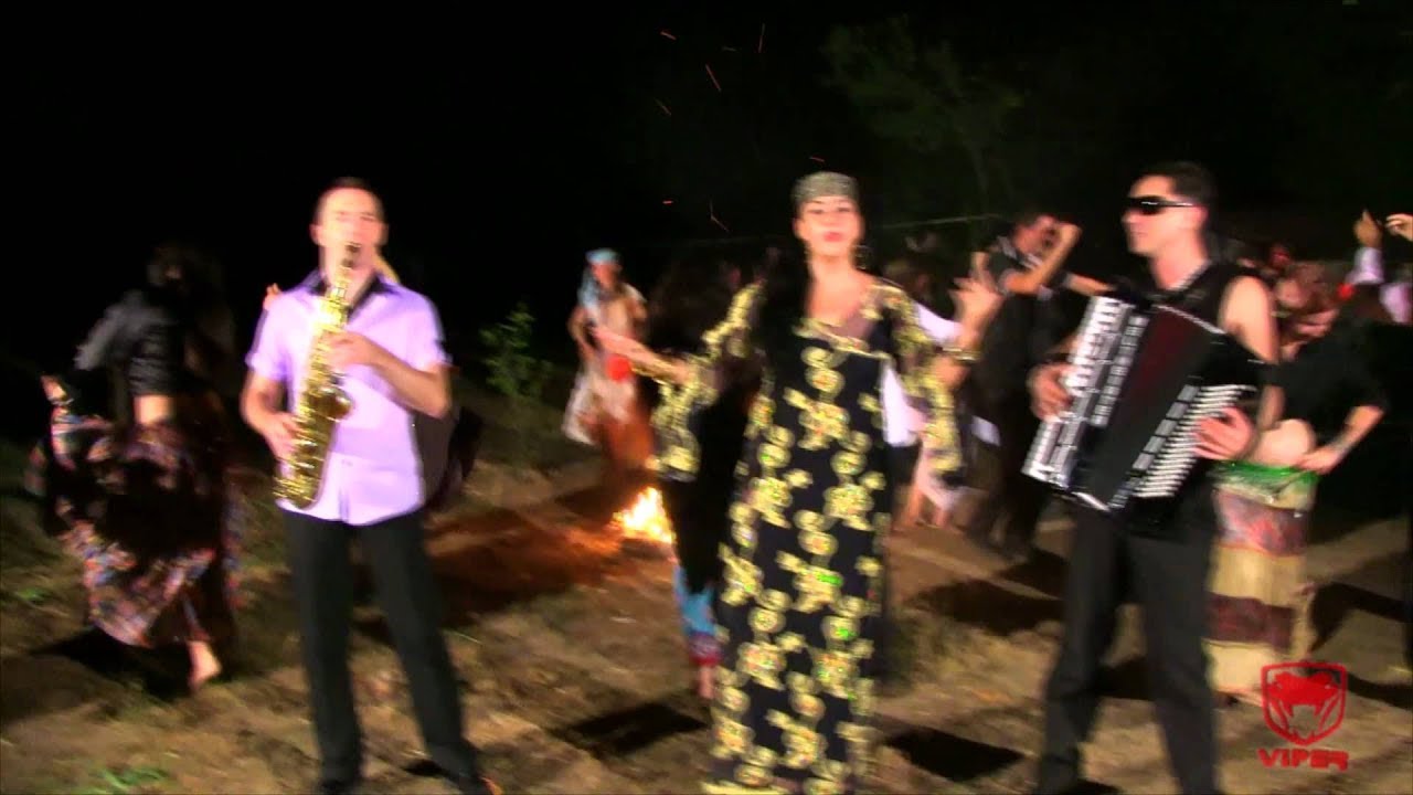 Luminita Puscas - Tiganul si internetul
