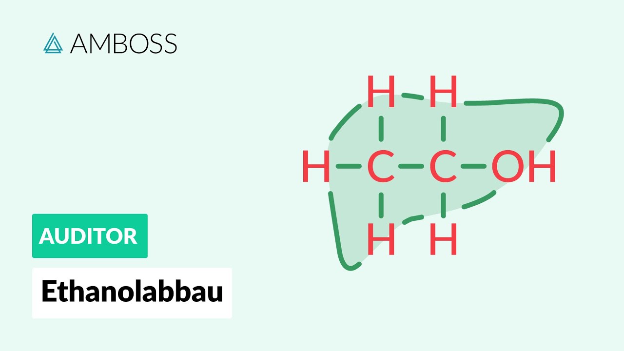 Der Ethanolabbau - AMBOSS Auditor