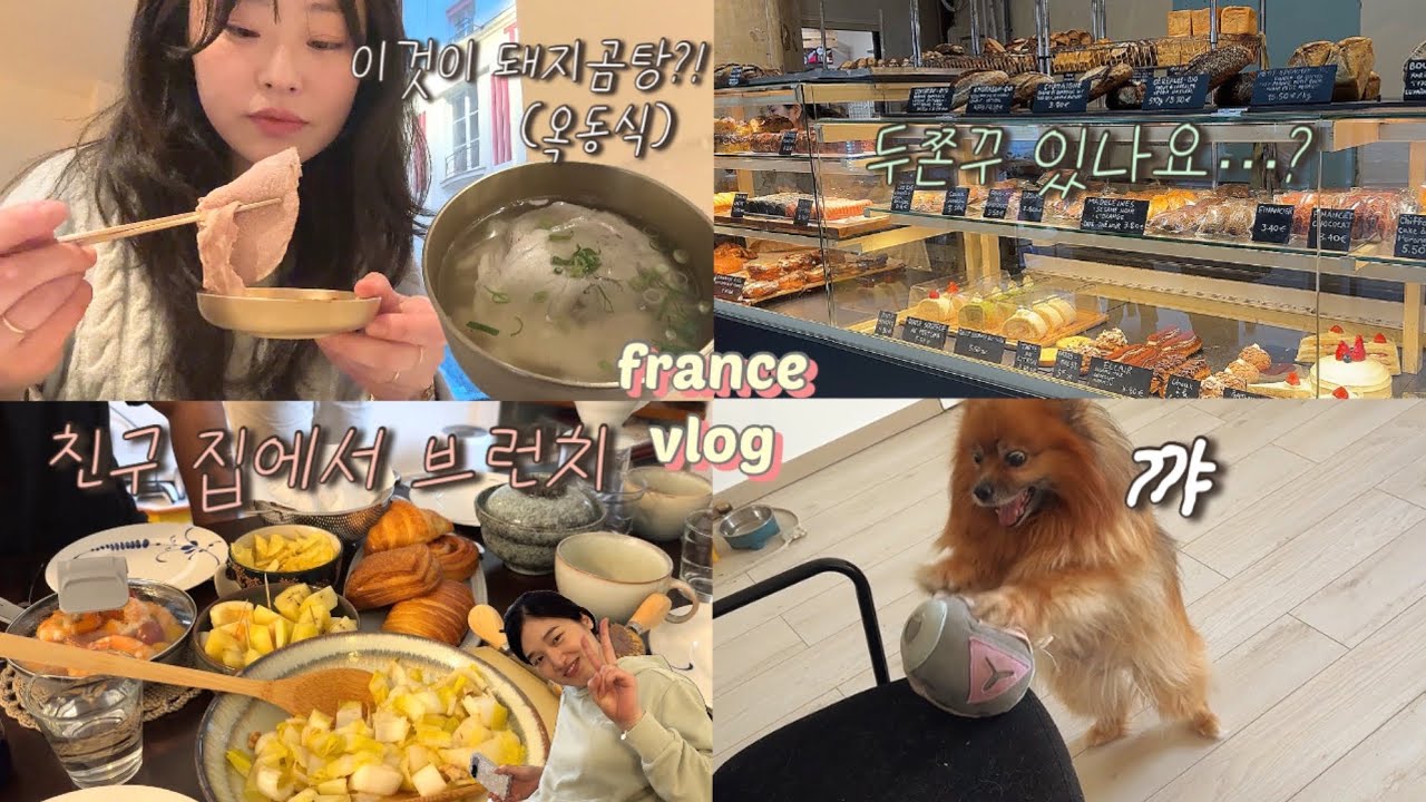 프랑스🇫🇷 일상 ♢ 친구집 브런치, 두쫀쿠를 찾아서, 옥동식 돼지곰탕, 친구들 만나기, 심바랑 집에서 뒹구르르