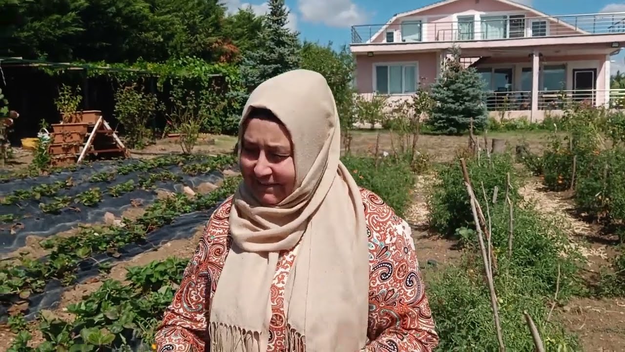 Bahçenizdeki Karıncalara Kesin Çözüm, Karınca İstilasına Son!