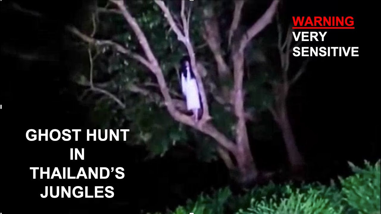 Ghost caught on mobile camera in Thailand's jungles | Ghost Hunt