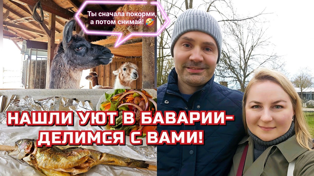 Идеальное заведение Biergarten Ellermühle 🍽 🍻| Природа, уютная атмосфера и развлечения для детей 🏕