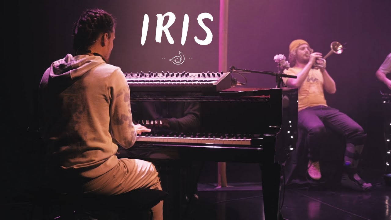 Black Snail &ndash; IRIS | Live Session