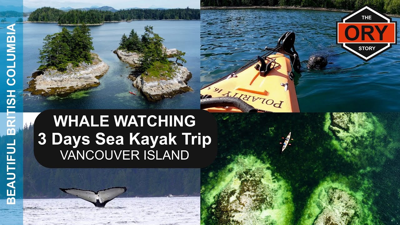 WHALE WATCHING - 3 Days Sea Kayak Trip, VANCOUVER ISLAND, Canada | ORY STORY