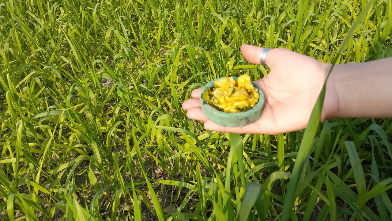 Miniature full chicken Biryani/FS Punjab mini Foodkey/