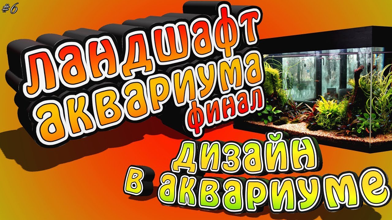 Оформление аквариума 72л.