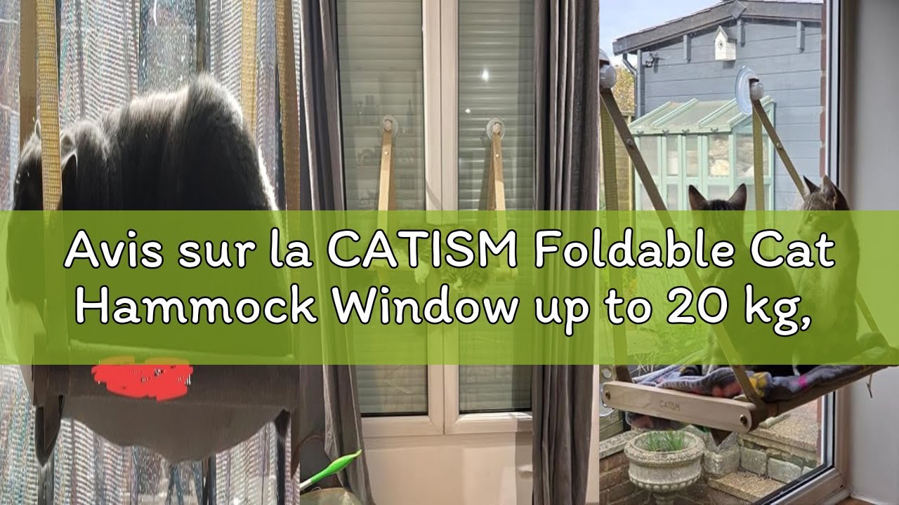 Avis sur la CATISM Foldable Cat Hammock Window up to 20 kg, Cat Hammock with Powerful Suction Cup, W