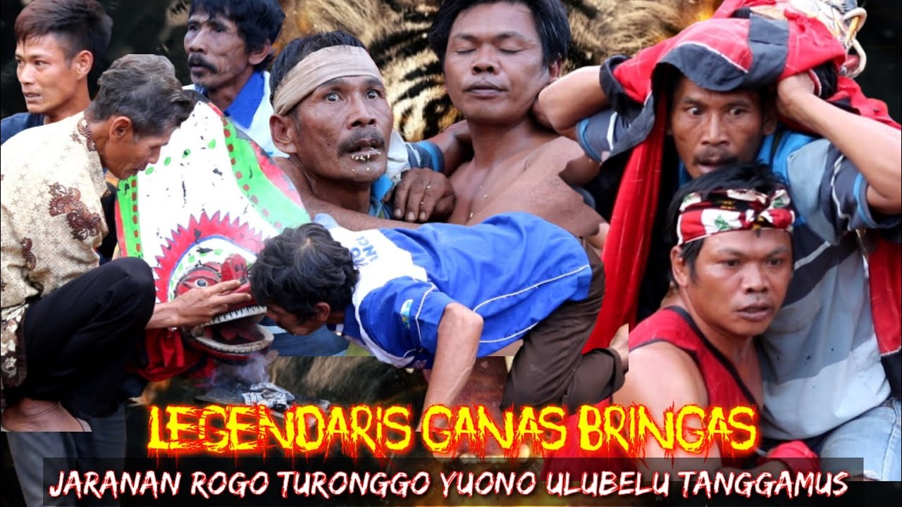 🔴Live Karang Rejo Ulubelu Tanggamus Jaranan Asli Pegon
