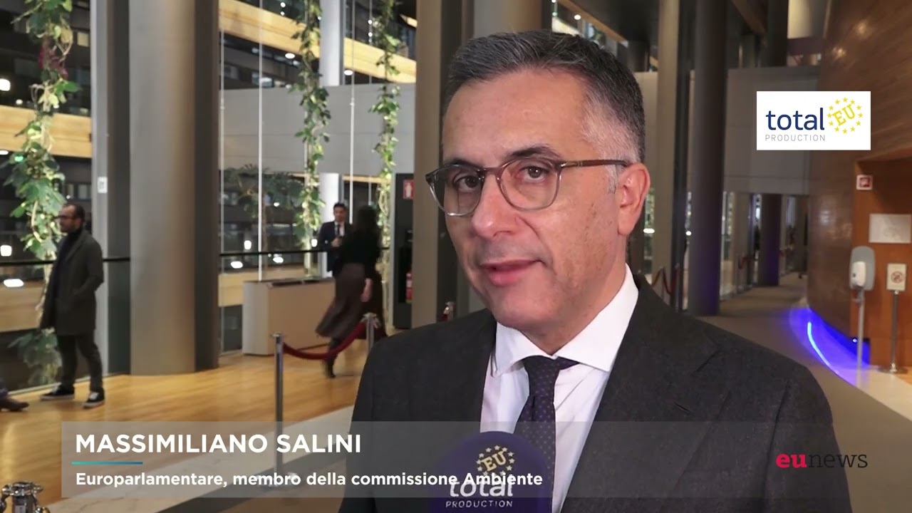 Massimiliano Salini (FI/PPE) su automotive a 2035