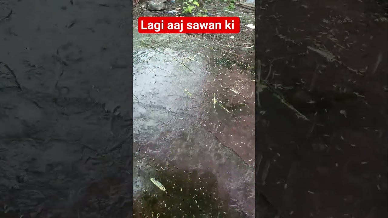 today i felt like sawan ki || shorts || shortsfeed || viral || viral shorts videos || shorts vide...