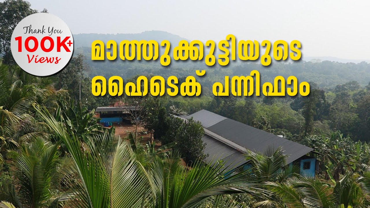 മാസം ലക്ഷങ്ങൾ വരുമാനം | ആർക്കും മാതൃകയാക്കാം മാത്തുക്കുട്ടിയുടെ ഹൈടെക് പന്നിഫാം | Hi Tech Pig Farm