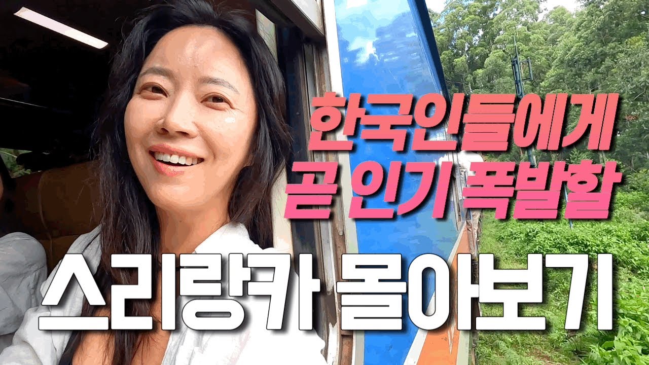🇱🇰15박 17일 스리랑카 여행 몰아보기🚂