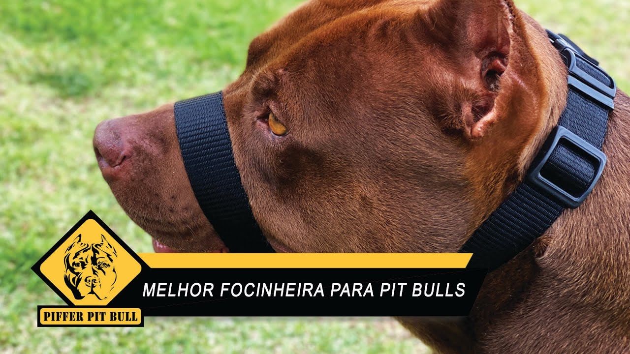 A melhor Focinheira do mercado! Conforto absoluto para o Pit Bulls - Piffer Pit Bull
