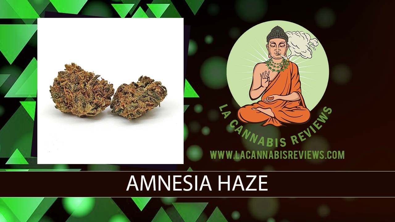Amnesia Haze