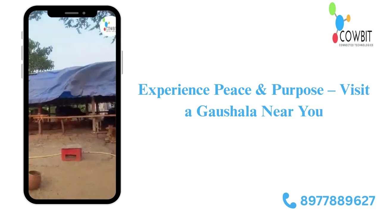 Experience Peace & Purpose &ndash; Visit a Gaushala Near You