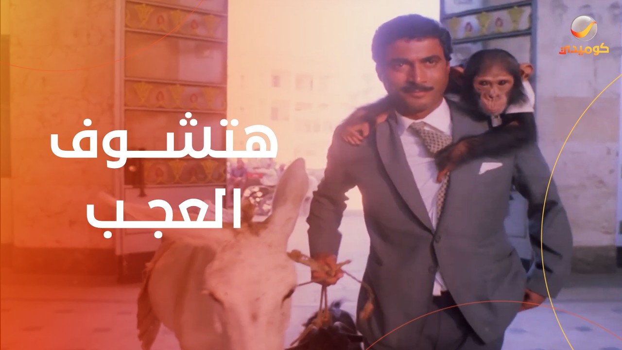 مش هيمشي قبل ما يروح المأمورية دي… وهتشوف العجب