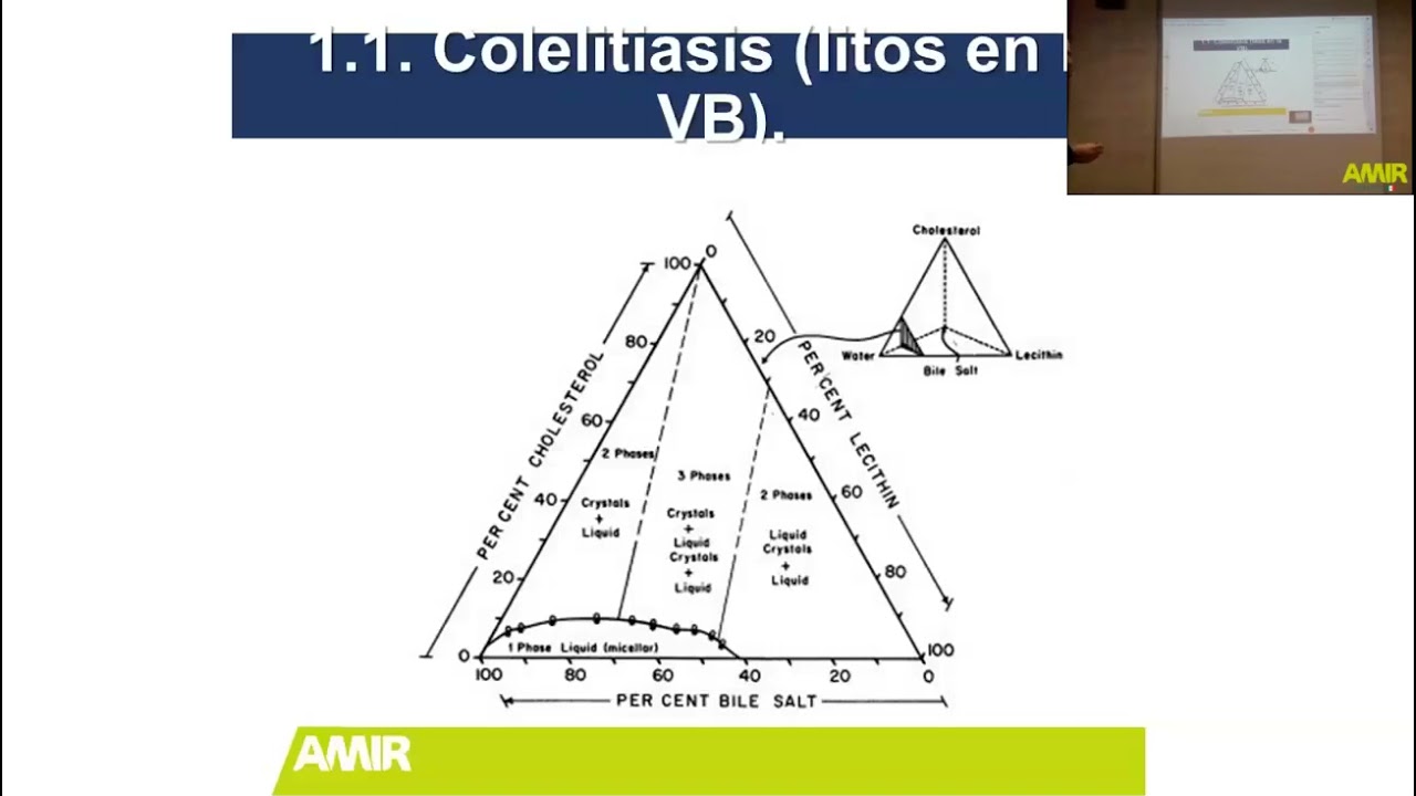 ENARM 2021 Cirug&iacute;a REVISI&Oacute;N DE TEMAS
