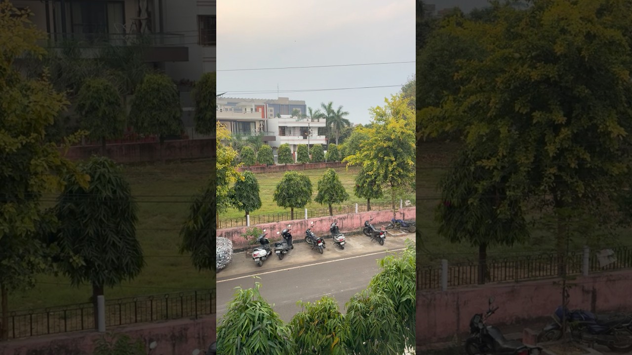 246/365 days vlog challenge #ytshorts #wedding