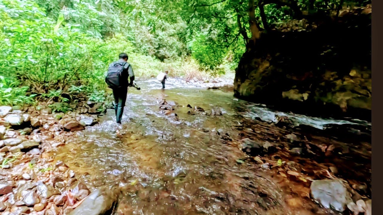 ເສັນທາງອອກຈາກປ່າເລິກ//เส็นทางออกป่าลึก Dong Una